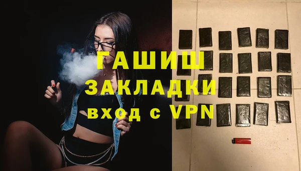 соль ск Новозыбков