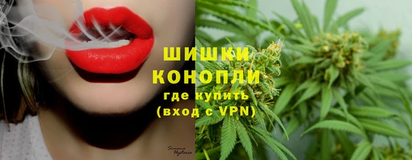 соль ск Новозыбков