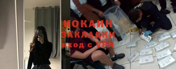 соль ск Новозыбков