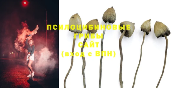 кокс Новокубанск