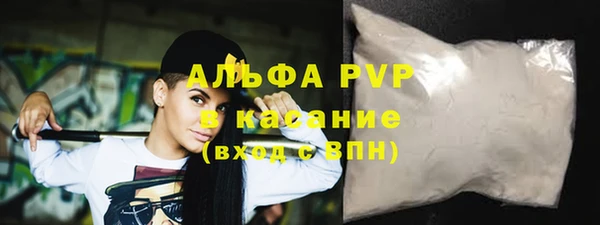 соль ск Новозыбков