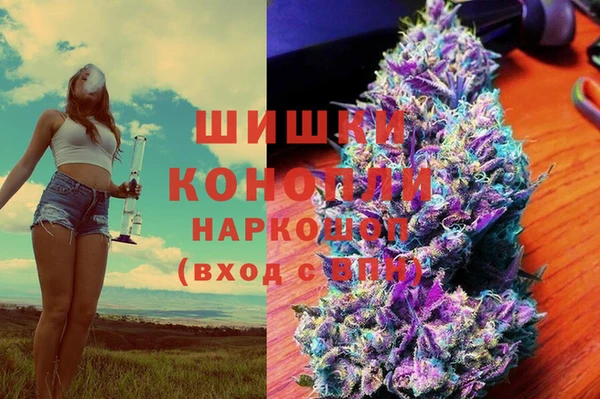 соль ск Новозыбков