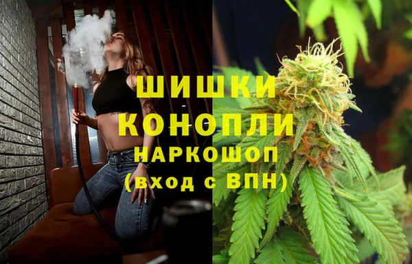 соль ск Новозыбков