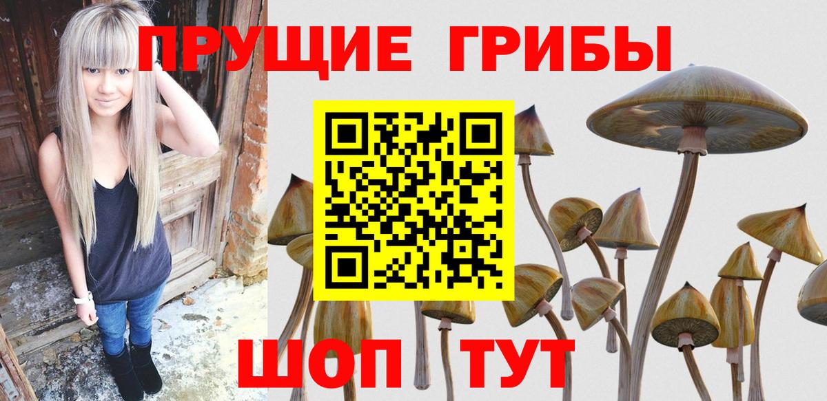 Ишимбай  Псилоцибиновые грибы прущие грибы  Галлюциногенные грибы мицелий  Вход с VPN 